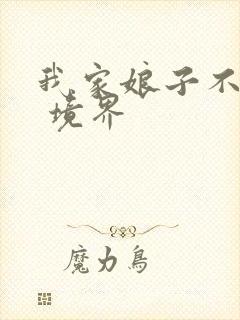 我家娘子不对劲 境界