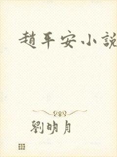 赵平安小说主角