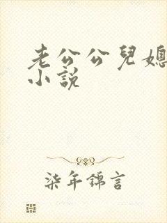老公公儿媳妇的小说