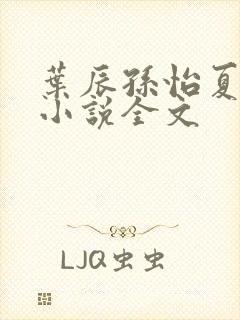 叶辰孙怡夏若雪小说全文封面