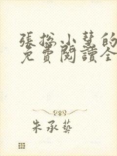 张总小慧的小说免费阅读全文封面