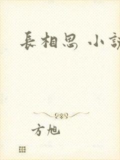 长相思 小说