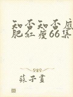 知否知否应是绿肥红瘦66集