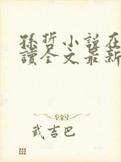 孙哲小说在线阅读全文最新封面