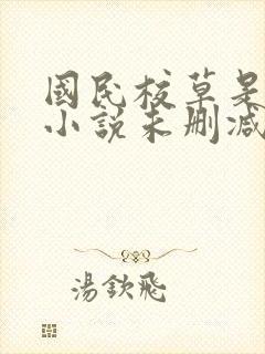 国民校草是女生小说未删减版