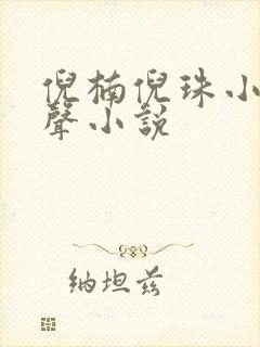倪楠倪珠小雨有声小说