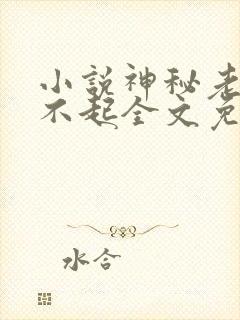 小说神秘老公惹不起全文免费阅读封面