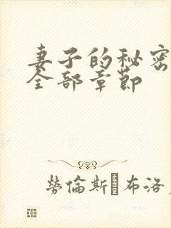 妻子的秘密小说全部章节封面