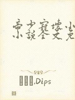 帝少宠坏小娇妻小说全文免费阅读