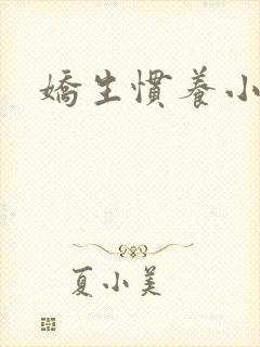 娇生惯养小说封面