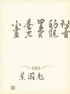 小巷里的秘密漫画免费观看