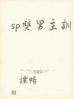 sp双男主训诫