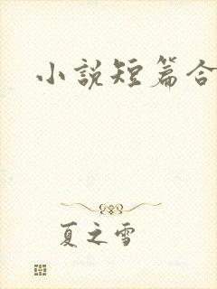 小说短篇合集h