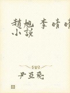 赵旭 李晴晴 小说封面