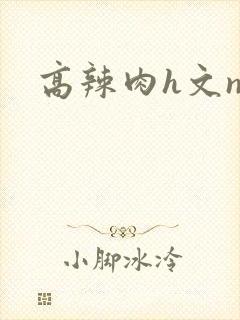 高辣肉h文np