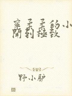 宁柔柔的小泬撑开到极致