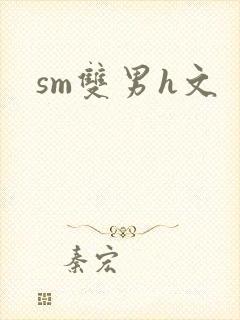 sm双男h文