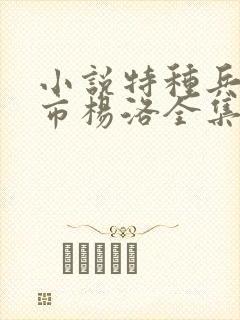 小说特种兵在都市杨洛全集结局封面