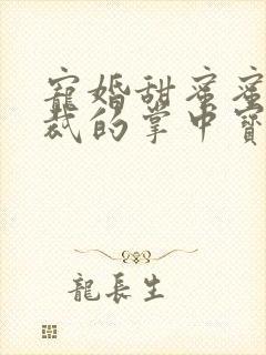 宠婚甜蜜蜜,总裁的掌中宝妻封面