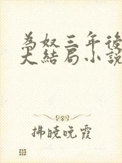 为奴三年后乔念大结局小说