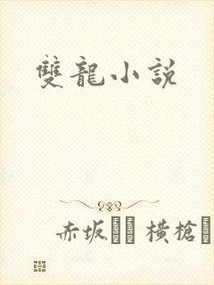 双龙小说