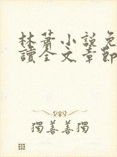 林萧小说免费阅读全文章节