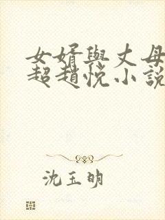 女婿与丈母娘陈超赵悦小说阅读免费封面