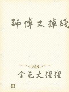 师傅又掉线了封面