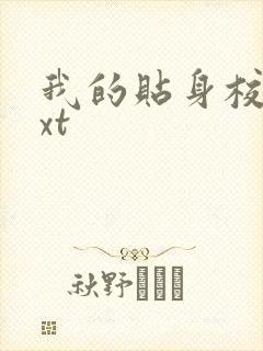 我的贴身校花txt封面