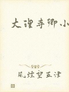 大理寺卿小说封面