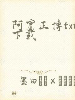 阿宾正传txt下载封面