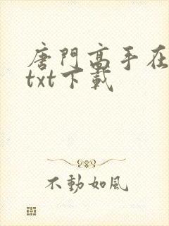 唐门高手在异世txt下载
