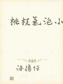桃枝气泡小说封面