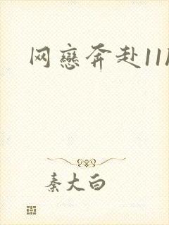 网恋奔赴11h封面