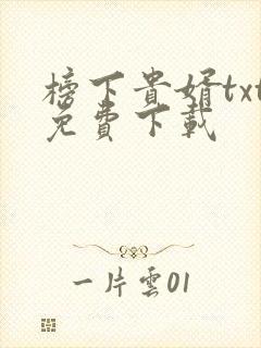 榜下贵婿txt免费下载封面