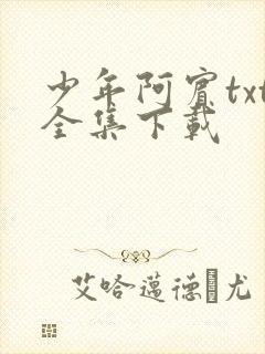 少年阿宾txt全集下载