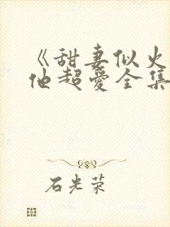 《甜妻似火霍爷他超爱全集完结》在