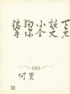 狼狗小说下次我等你全文免费阅读封面