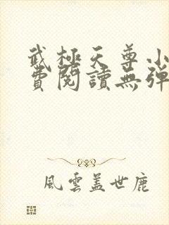 武极天尊小说免费阅读无弹窗封面