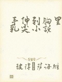 手伸到胸里揉她乳尖小说