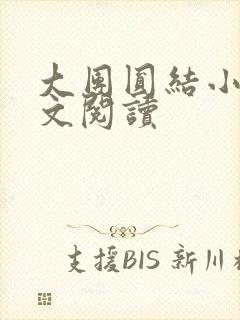 大团圆结小茹全文阅读