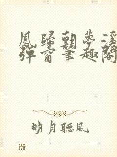 凤归朝梦溪石无弹窗笔趣阁