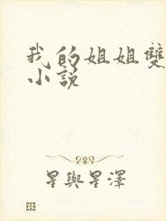 我的姐姐双女主小说