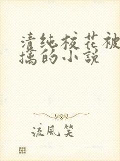 清纯校花被教官擒的小说封面