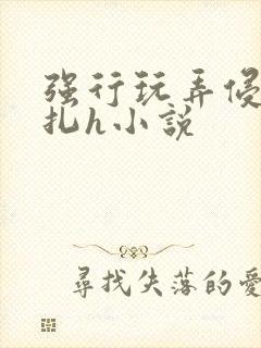强行玩弄侵犯挣扎h小说