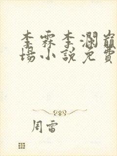 李霖李澜巅峰官场小说免费阅读