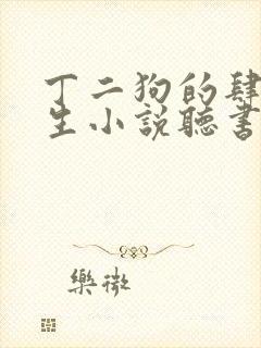 丁二狗的肆意人生小说听书