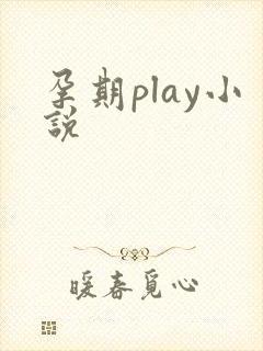 孕期play小说封面