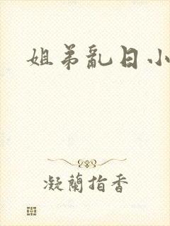 姐弟乱日小说