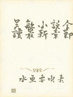 吴敏小说全文阅读最新章节封面
